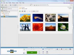 download picasa 3 for mac install